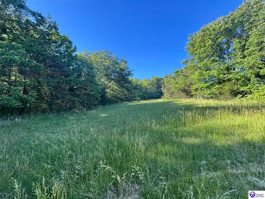4574 Payneville Road, Brandenburg, KY 40108 - #3