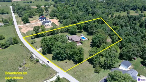 9594 N Long Grove Road, Rineyville, KY 40162