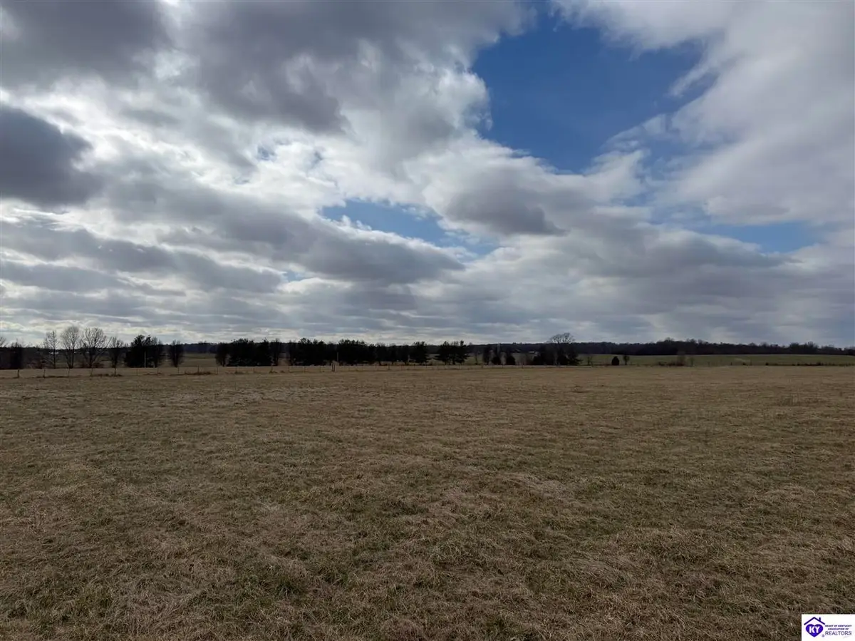 LOT 18 Berrytown Road, Rineyville, KY 40162 - #1