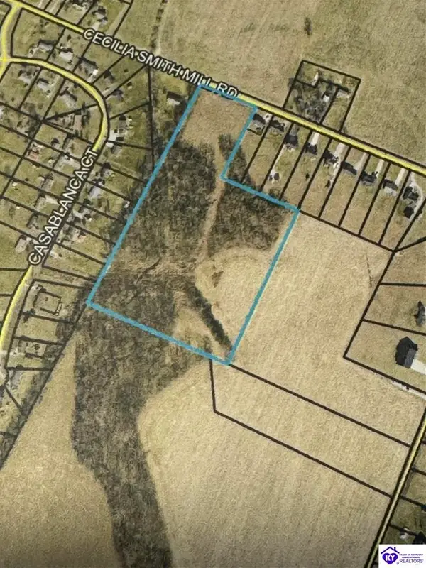 Lot 1 Cecilia Smiths Mill Road, Cecilia, KY 42724