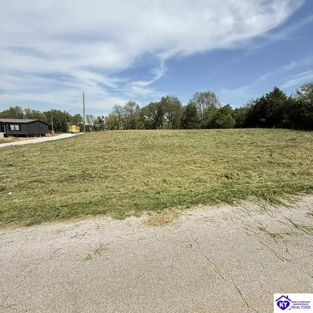 Lot 6 Stith Valley Road, Guston, KY 40142 - #1