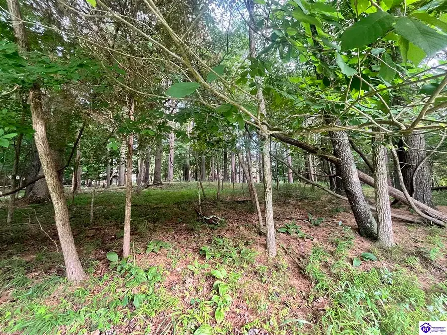 Lot 148 Bent Pine Lane, Brandenburg, KY 40108 - #3