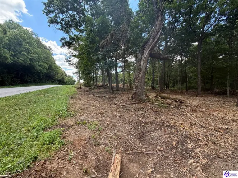 Lot 16 Redhawk, Rineyville, KY 40162 - #2
