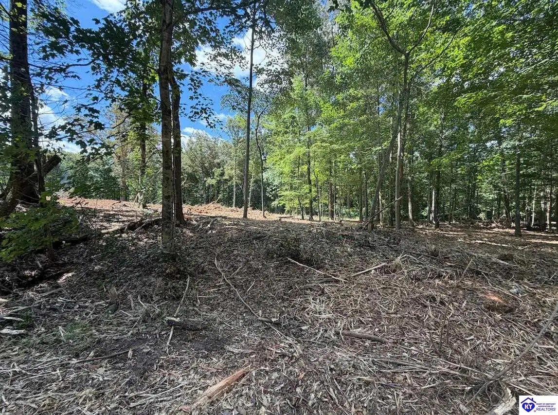 Lot 15 Redhawk, Rineyville, KY 40162 - #1