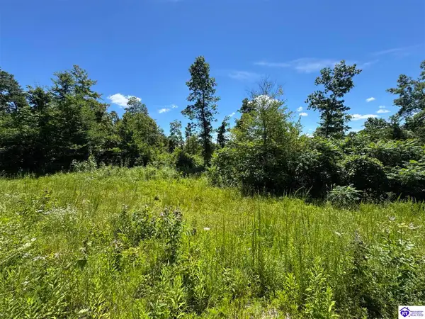 1500 Tick Ridge Road, Falls Of Rough, KY 40119
