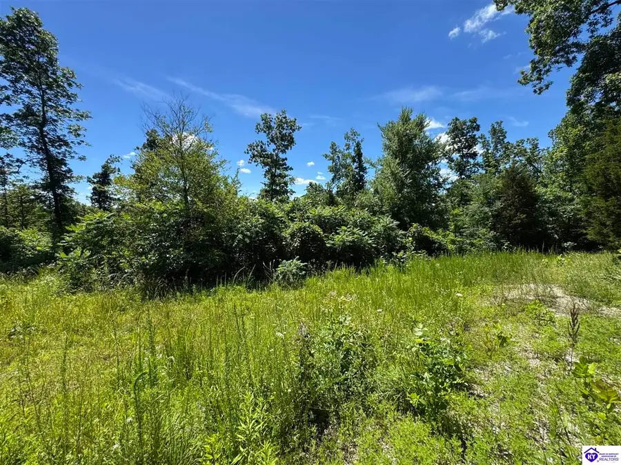 1500 Tick Ridge Road, Falls Of Rough, KY 40119 - #3