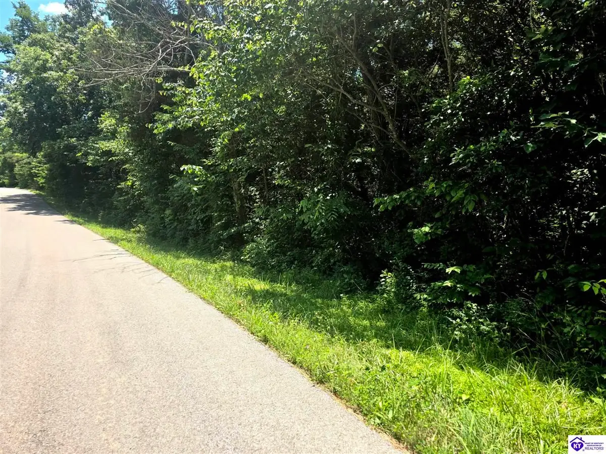 Tract 2 Johnson Harris School Road, Rineyville, KY 40162 - #1