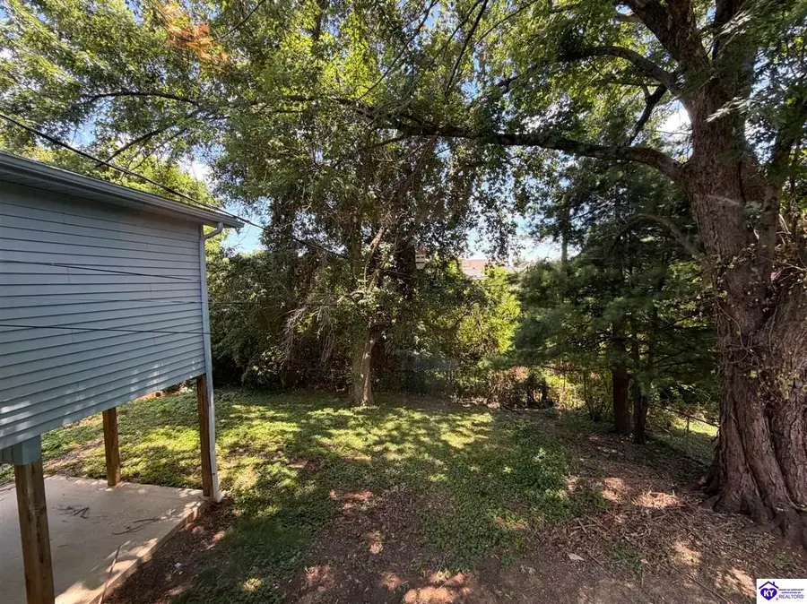 421 Franklin Avenue, Elizabethtown, KY 42701 - #3