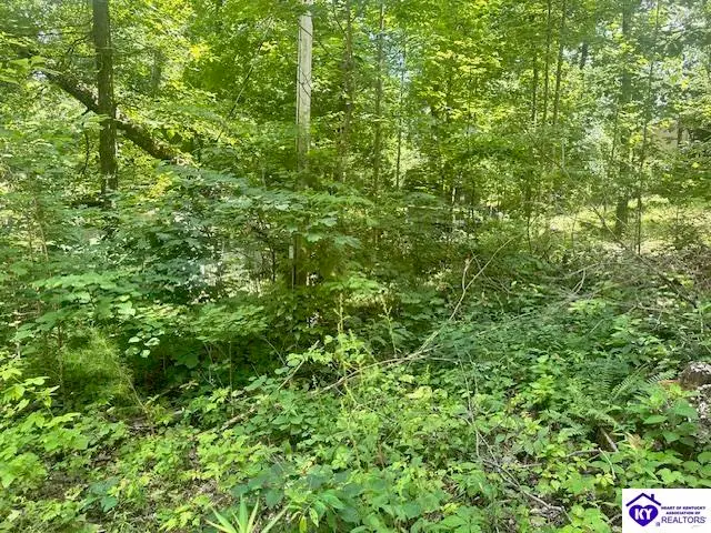 119 Mockingbird Lane, Mammoth Cave, KY 42259 - #2