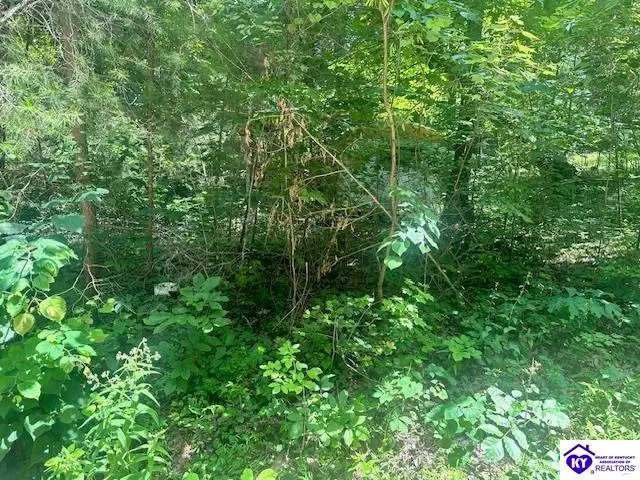 119 Mockingbird Lane, Mammoth Cave, KY 42259 - #3