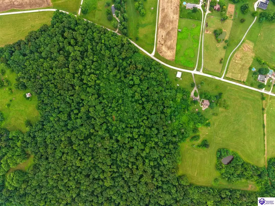 Lot 0 Little Bend Road, Battletown, KY 40104 - #3