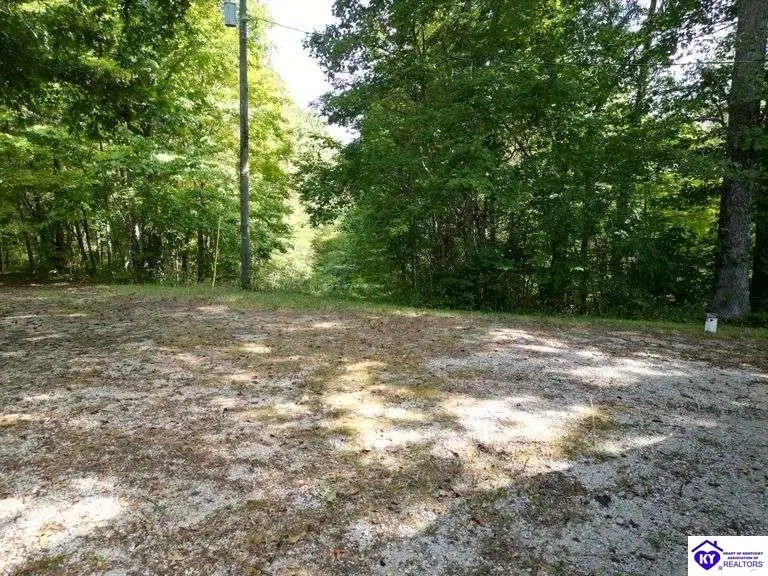 1071 George Tabb Road, Upton, KY 42784 - #2