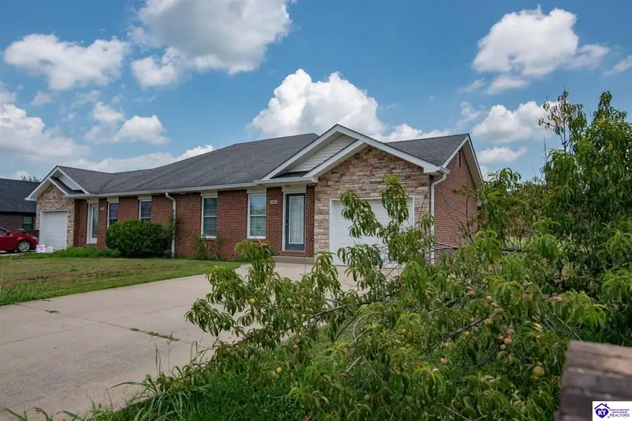 132 Wood Lane, Hodgenville, KY 42748 - #3