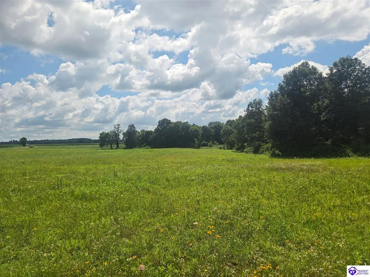 parcel 4 Lyons-Daugherty Road, Custer, KY 40115 - #1