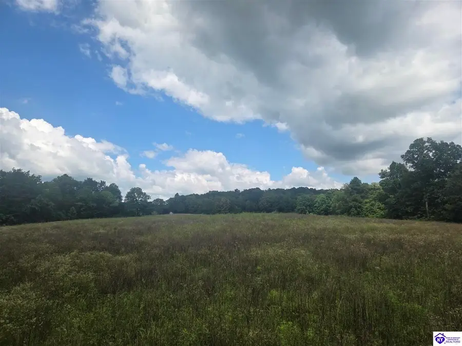 parcel 4 Lyons-Daugherty Road, Custer, KY 40115 - #2