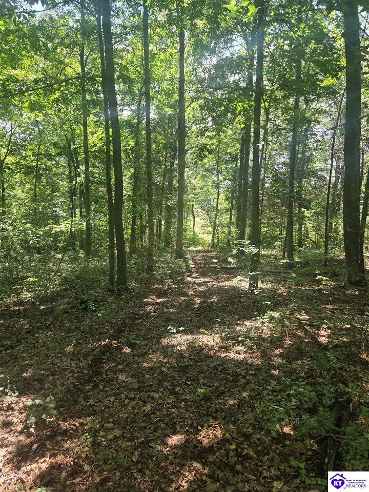 parcel 4 Lyons-Daugherty Road, Custer, KY 40115 - #3