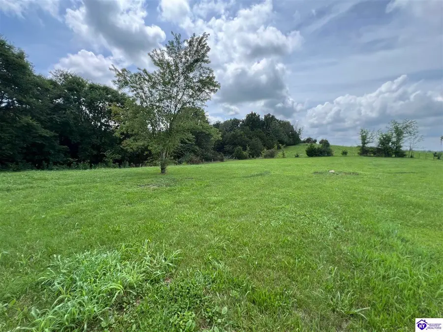 1202 Sandstone Ridge Road, Bonnieville, KY 42713-0000 - #3