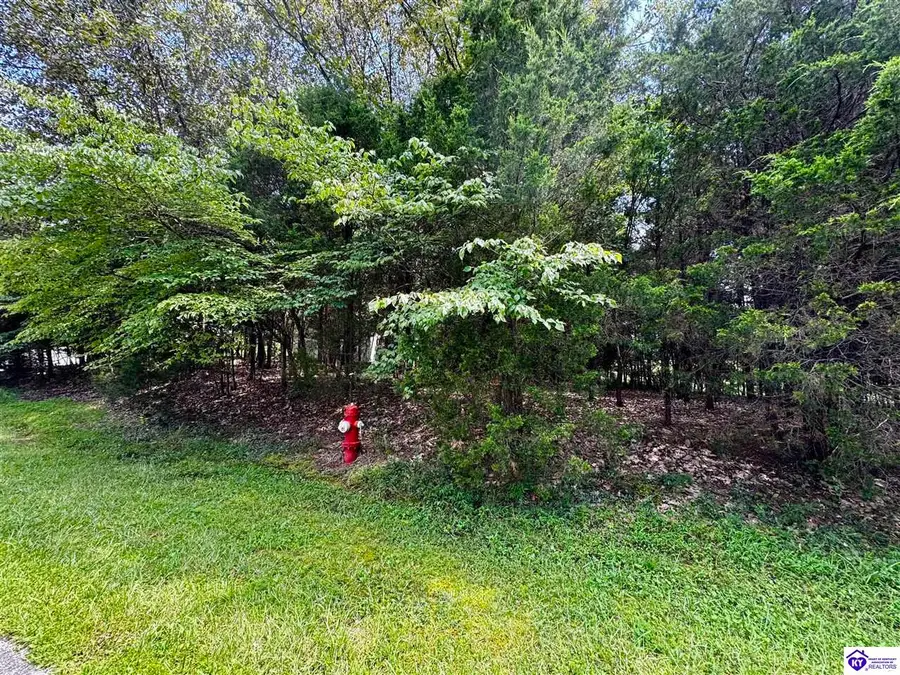 Lot 240 Warbler Road, Brandenburg, KY 40108 - #2