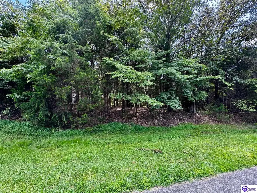 Lot 240 Warbler Road, Brandenburg, KY 40108 - #3
