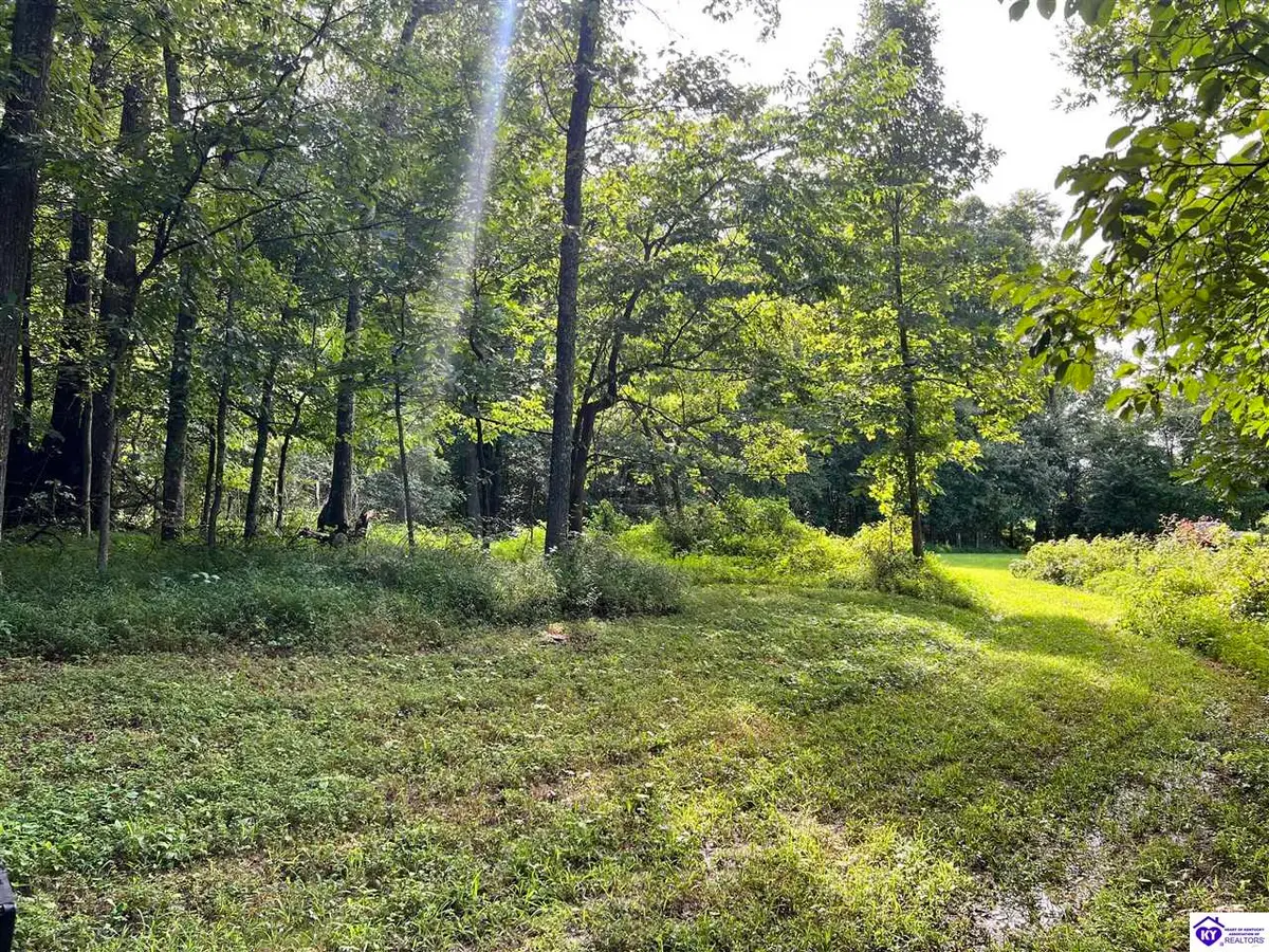 Tract G Sutzer Creek Road, Eastview, KY 42732 - #1