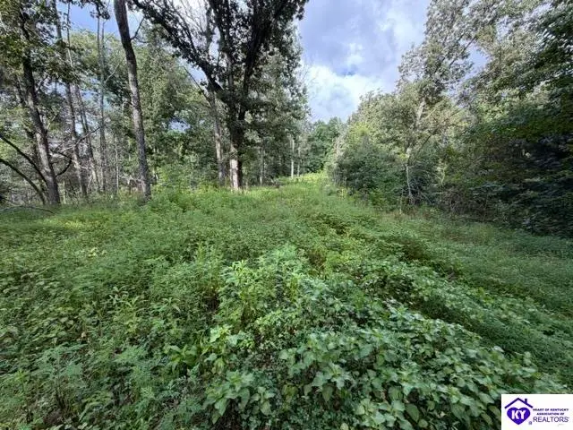 Tract G Sutzer Creek Road, Eastview, KY 42732 - #3
