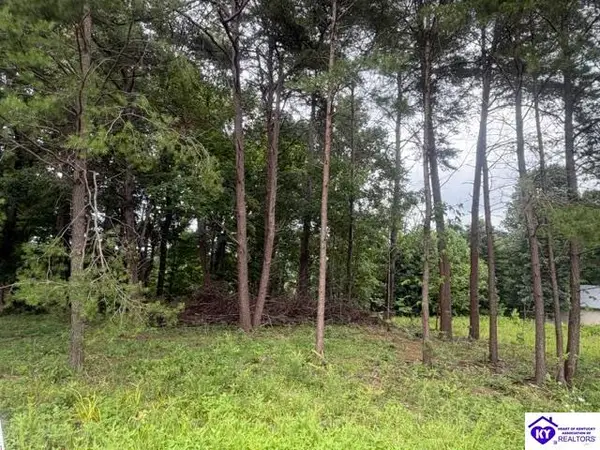 0 Paulette Way, Falls Of Rough, KY 40119