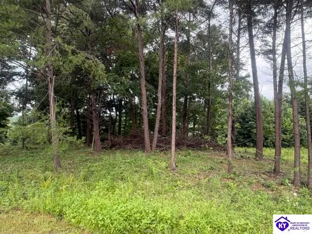 0 Paulette Way, Falls Of Rough, KY 40119 - #2