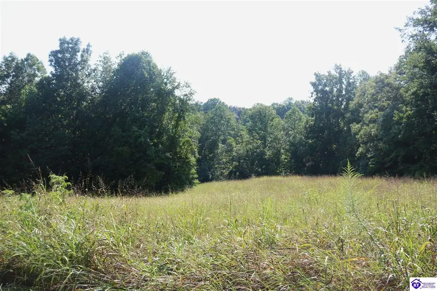 00 Levi Beam Road, Magnolia, KY 42757 - #3