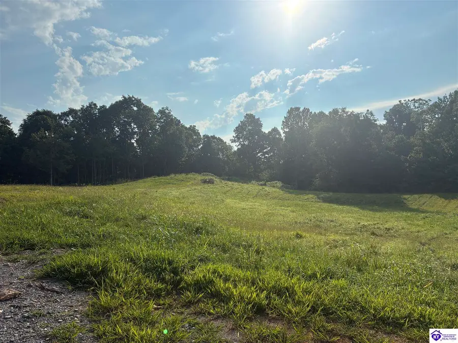 3440 Watershed Road, Caneyville, KY 42721 - #2