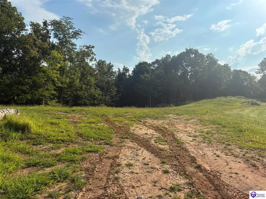 3440 Watershed Road, Caneyville, KY 42721 - #3