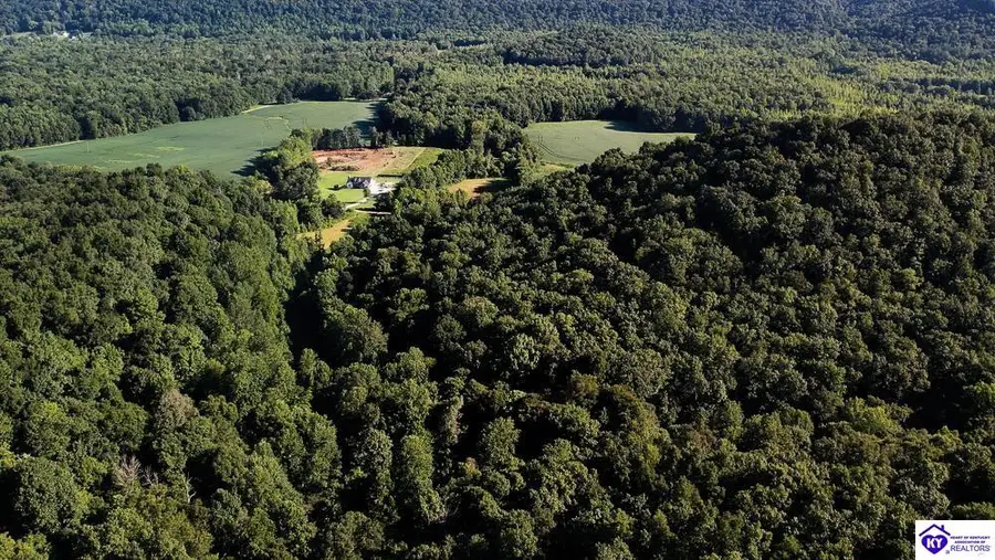 LOT 4 Perkins Lane, Howardstown, KY 40051 - #2