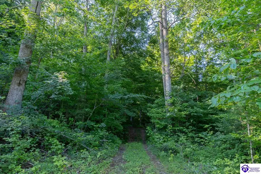LOT 4 Perkins Lane, Howardstown, KY 40051 - #3