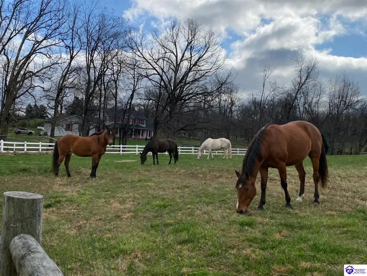 1828 Deckard School Road, Radcliff, KY 40160 - #1