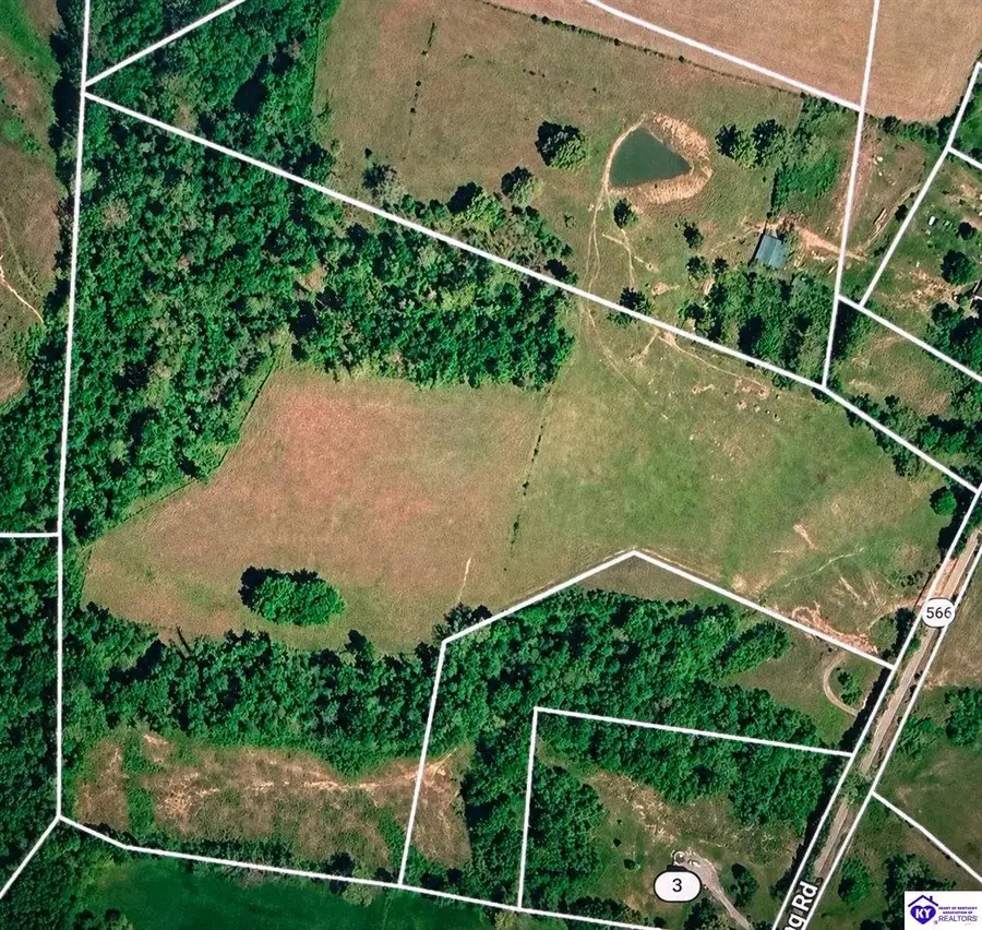 29.47 acres Gumm Springs Rd, Magnolia, KY 42757 - #2