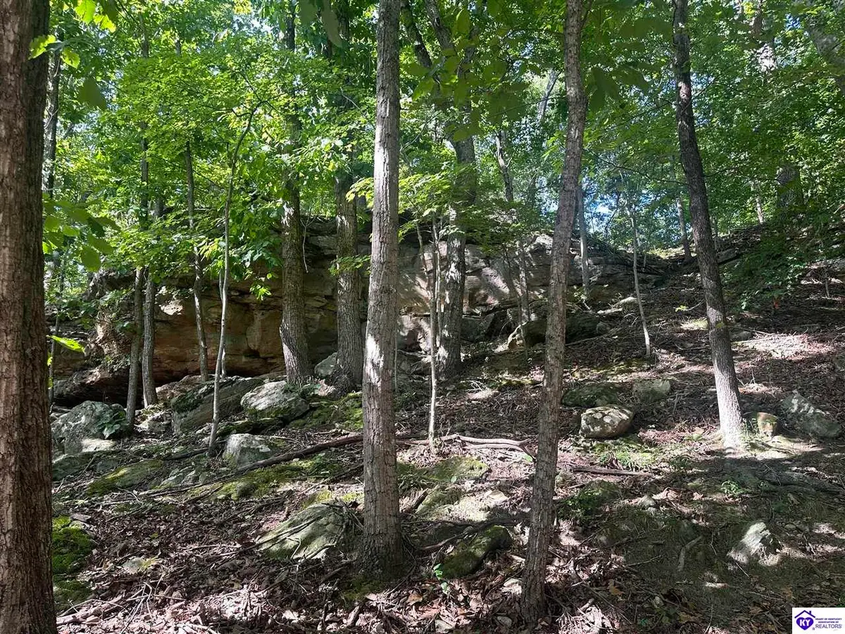 25210 SW Sonora Hardin Springs Road, Big Clifty, KY 42712 - #1