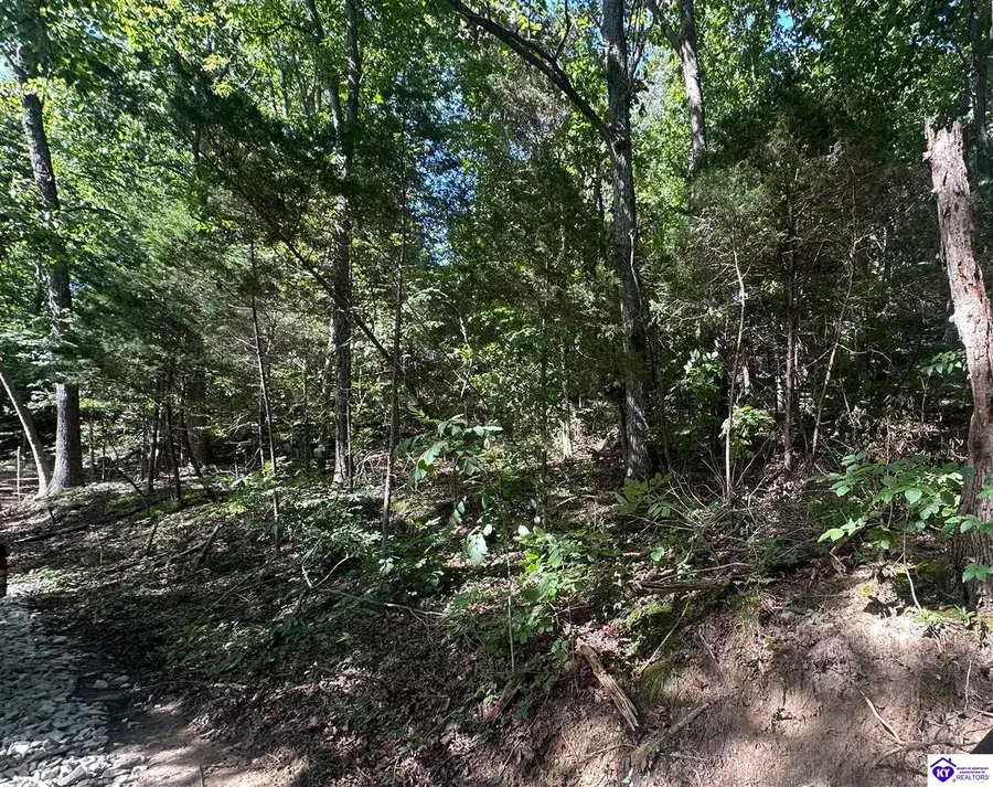 25210 SW Sonora Hardin Springs Road, Big Clifty, KY 42712 - #3
