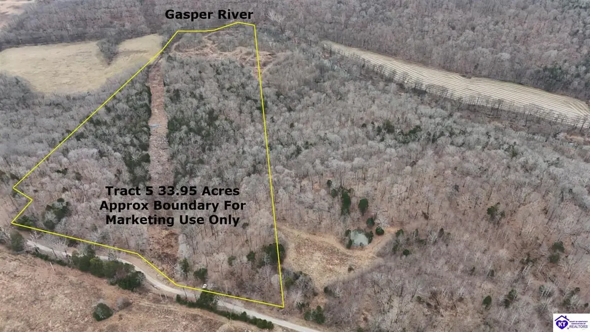 Tract 5 Wand Cemetery Road, Bowling Green, KY 42101 - #1