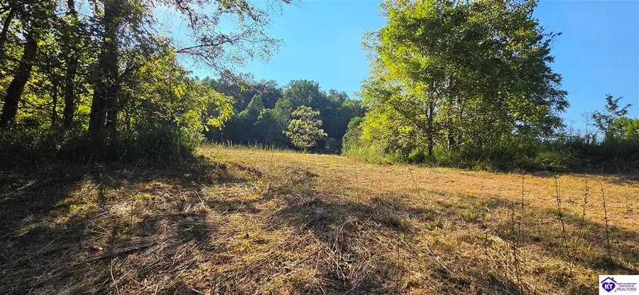 257 New State Road, Webster, KY 40176 - #2