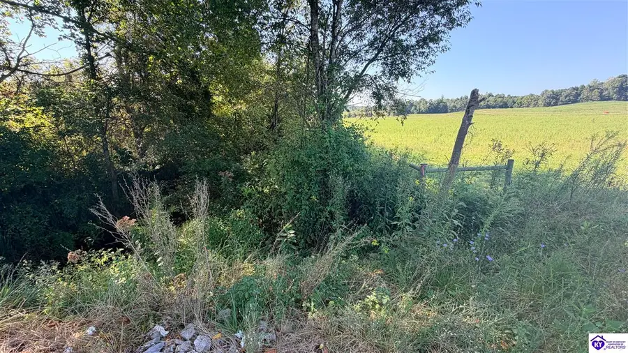 Lot 2B-14153 St John Road, Summit, KY 42788 - #2