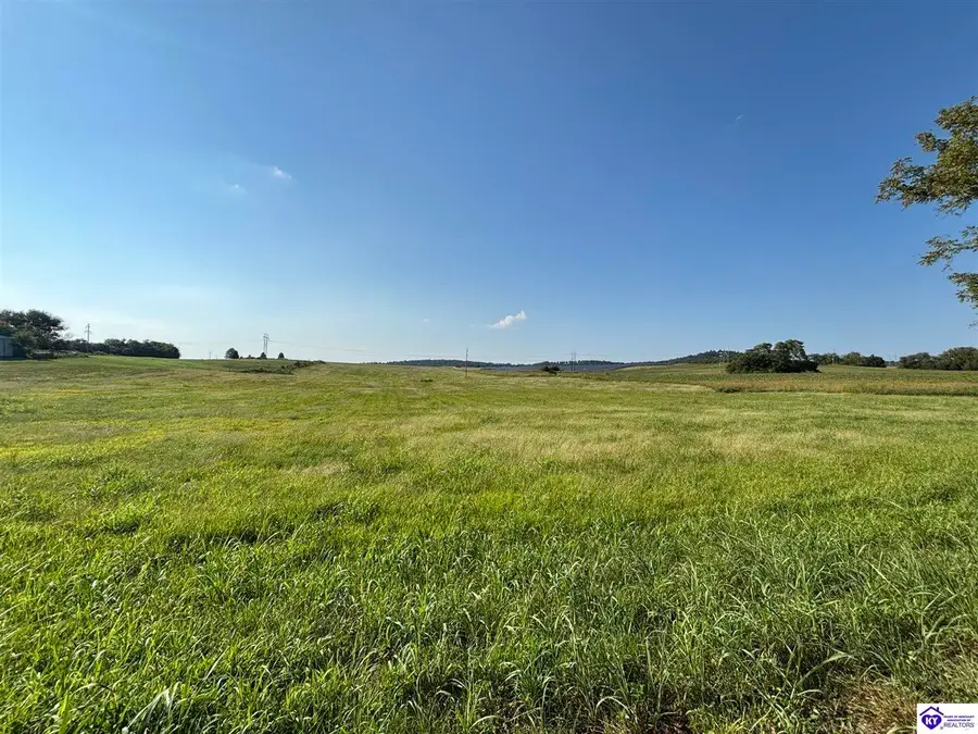 185 Brandenburg-Irvington Ln, Irvington, KY 40146 - #3