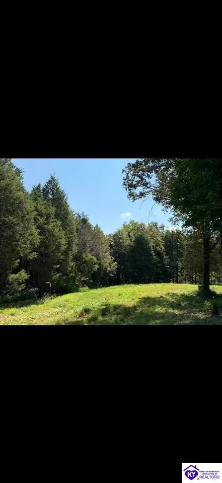 8751 Salt River Road, Cecilia, KY 42724 - #2
