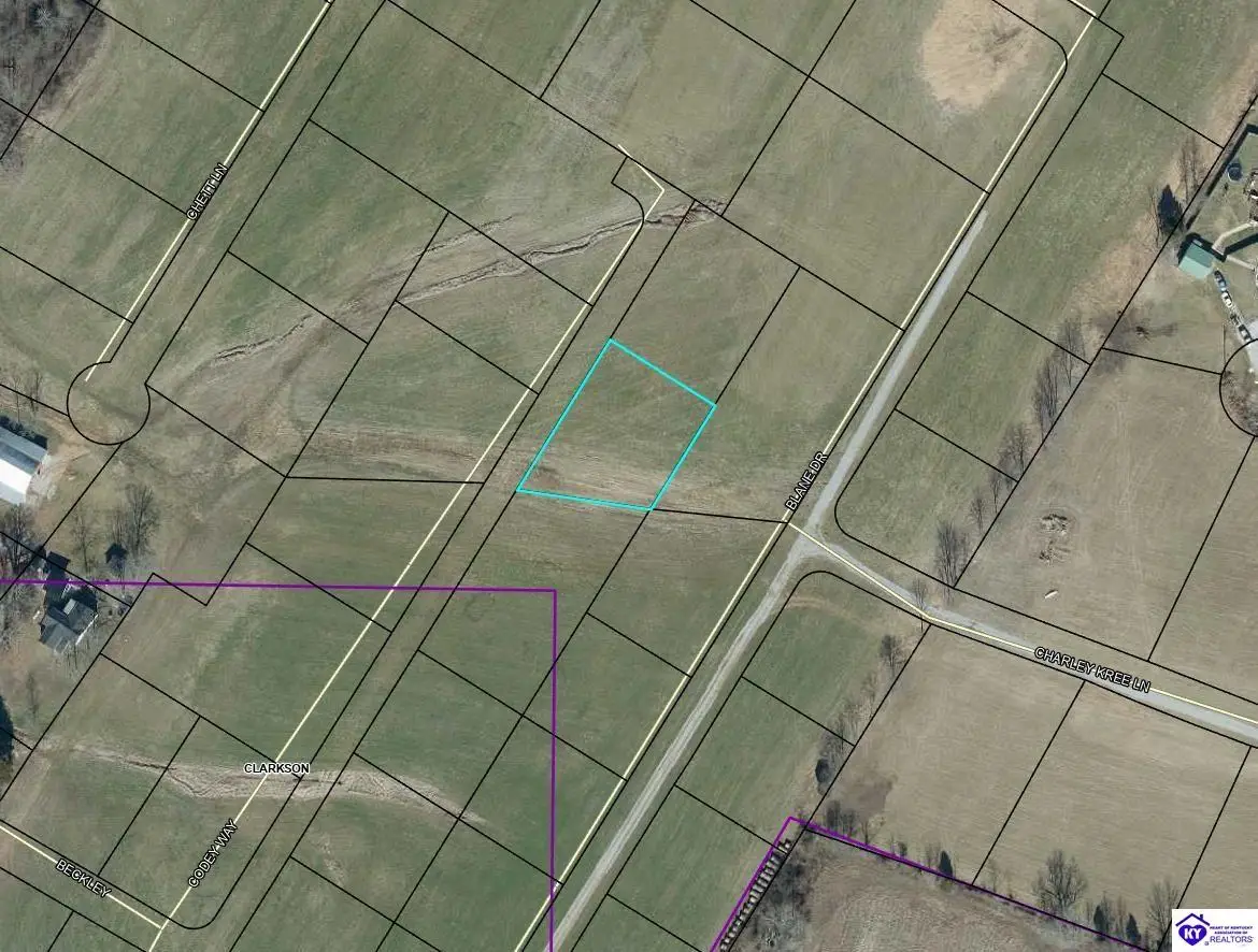 115 Codey Way, Clarkson, KY 42726 - #1
