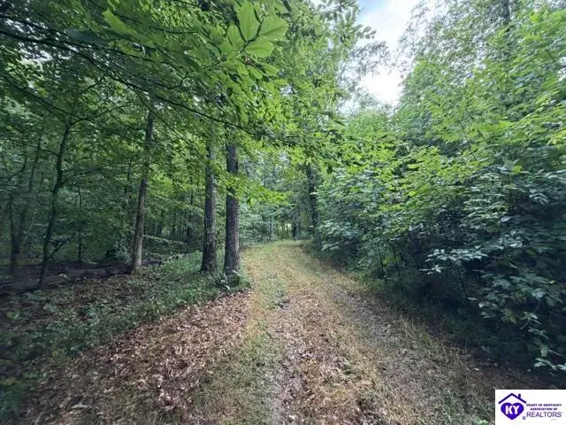 Tract G Sutzer Creek Road, Eastview, KY 42732 - #1