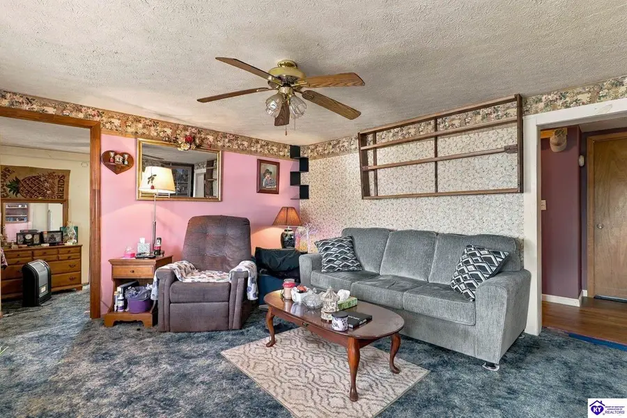 215 Riggs Street, Upton, KY 42784 - #3
