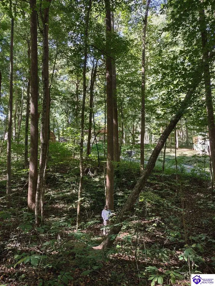 71 Bullfrog Trail, Scottsville, KY 42164 - #1