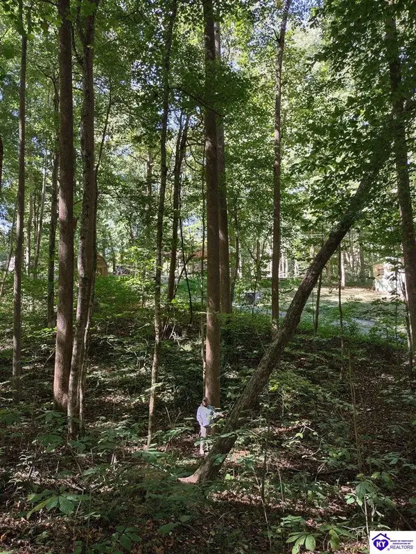 71 Bullfrog Trail, Scottsville, KY 42164