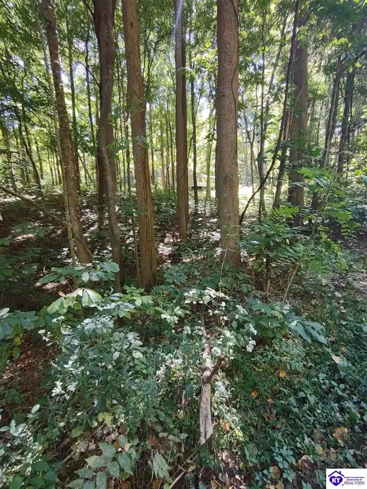 71 Bullfrog Trail, Scottsville, KY 42164 - #2