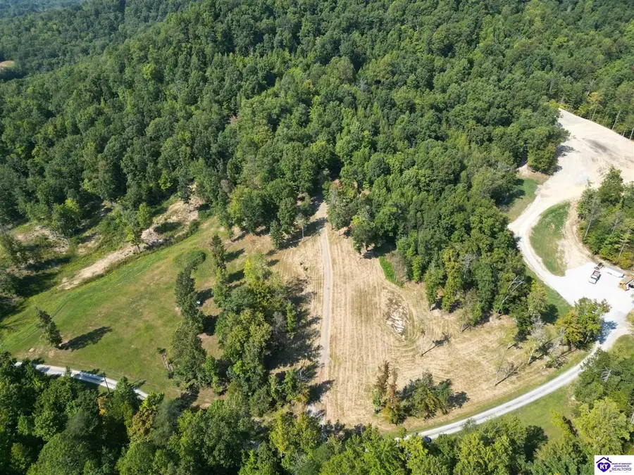 TRACTS 2 & 3 Moores Creek Road, Campbellsville, KY 42718 - #3