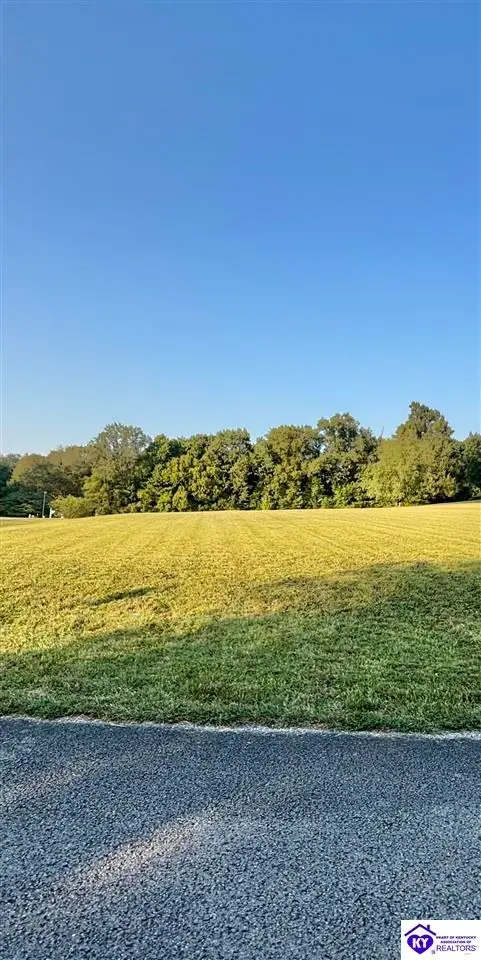 LOT#10 Brairwood Drive, Campbellsville, KY 42718 - #3