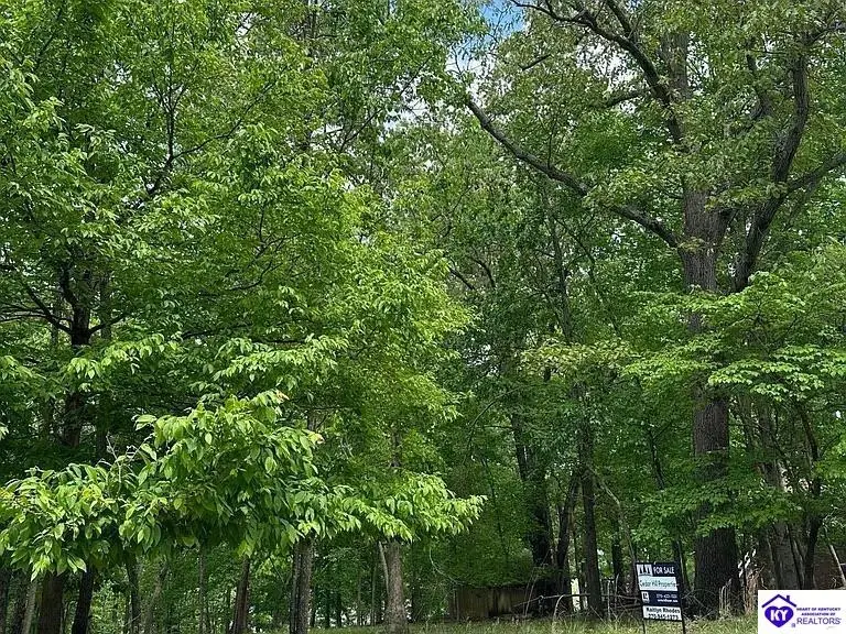 Lot 62 Lakeshore Parkway, Brandenburg, KY 40108 - #3